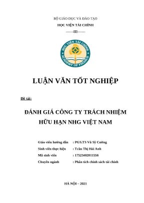 Luận văn tốt nghiệp đánh giá công ty trách nhiệm hữu hạn nhg việt nam