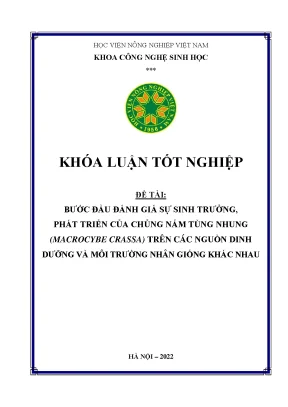 Bước đầu đánh giá sự sinh trưởng phát triển của chủng nấm tùng nhung macrocybe crassa trên các nguồn dinh dưỡng và môi trường nhân giống khác nhau