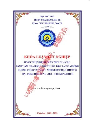 Hoàn thiện kênh phân phối của các sản phẩm chăm sóc tóc thuộc pg tại nam sông hương công ty trách nhiệm hữu hạn thương mại tổng hợp tuấn việt chi nhánh huế