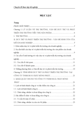 Chuyên đề thực tập giải pháp nhằm duy trì phát triển thị trường cho sản phẩm hoá chất của công ty trách nhiệm hữu hạn hoá chất hồng phát