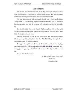 Biểu hiện cytochrome p450 hydroxylase từ xạ khuẩn