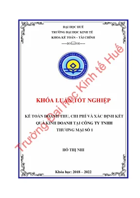 Kế toán doanh thu chi phí và xác định kết quả kinh doanh tại công ty tnhh thương mại số 1