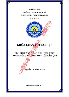 Giải pháp nâng cao hiệu quả kinh doanh công ty tnhh mtv tôn lâm quý