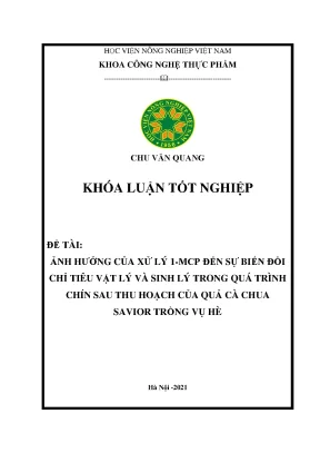 Ảnh hưởng của xử lý 1 mcp đến sự biến đổi chỉ tiêu vật lý và sinh lý trong quá trình chín sau thu hoạch của quả cà chua savior trồng vụ hè