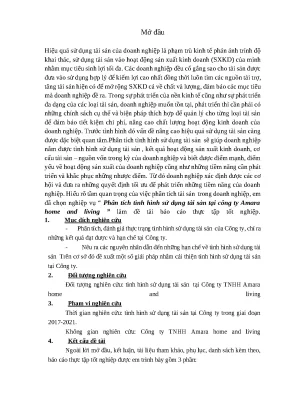 Luận văn báo cáo phân tích tình hình sử dụng tài sản tại côn ty amarahome and living