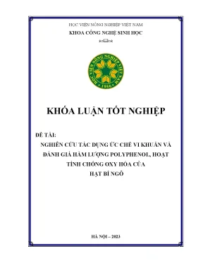 Nghiên cứu tác dụng ức chế vi khuẩn và đánh giá hàm lượng polyphenol hoạt tính chống oxy hóa của hạt bí ngô
