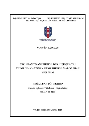 Các nhân tố ảnh hưởng đến hiệu quả tài chính của các ngân hàng tmcp việt nam