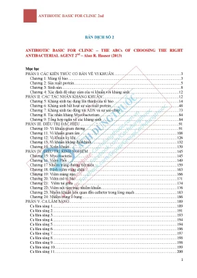 Abcs tieng viet version 2