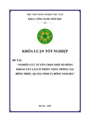 Nghiên cứu tuyển chọn một số dòng khoai tây lai có triển vọng trồng tại đông triều quảng ninh vụ đông năm 2021