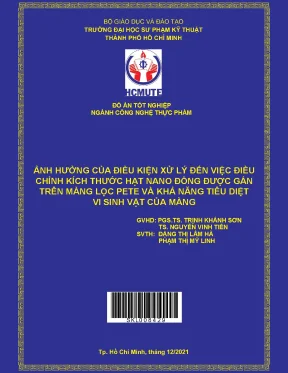 Ảnh hưởng của điều kiện xử lý đến việc điều chỉnh kích thước hạt nano đồng được gắn trên màng lọc pete và khả năng tiêu diệt vi sinh vật của màng