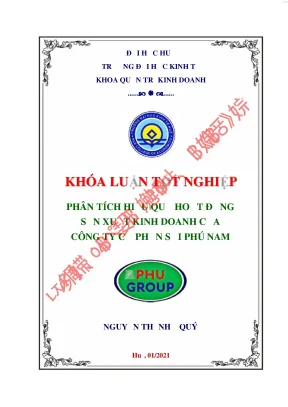 Phân tích hiệu quả hoạt động sản xuất kinh doanh của công ty cổ phần sợi phú nam huế