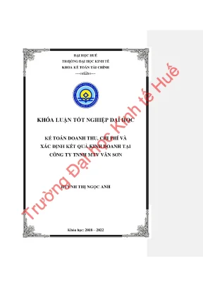 Kế toán doanh thu chi phí và xác định kết quả kinh doanh tại công ty tnhh mtv vân sơn