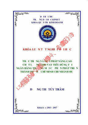 Thực trạng và giải pháp nâng cao chất lượng cho vay tiêu dùng tại ngân hàng thương mại cổ phần phát triển thành phố hồ chí minh chi nhánh huế
