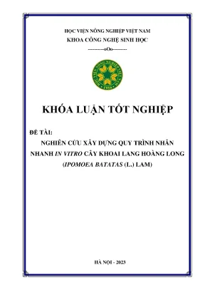 Nghiên cứu xây dựng quy trình nhân nhanh in vitro cây khoai lang hoàng long ipomoea batatas l lam
