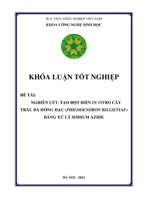 Nghiên cứu tạo đột biến in vitro cây trầu bà hồng hạc philodendron billietiae bằng xử lý sodium azide