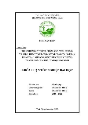 Thực hiện quy trình chăm sóc nuôi dưỡng và khai thác tinh lợn đực tại công ty cổ phần khai thác khoáng sản thiên thuận tường thành phố cẩm phả tỉnh quảng ninh