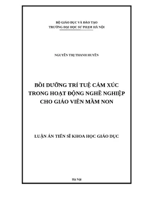 Luận án tiến sĩ bồi dưỡng trí tuệ cảm xúc trong hoạt động nghề nghiệp cho giáo viên mầm non