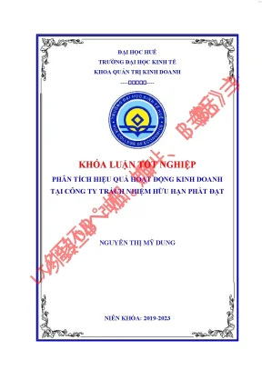 Phân tích hiệu quả hoạt động kinh doanh tại công ty tnhh phát đạt