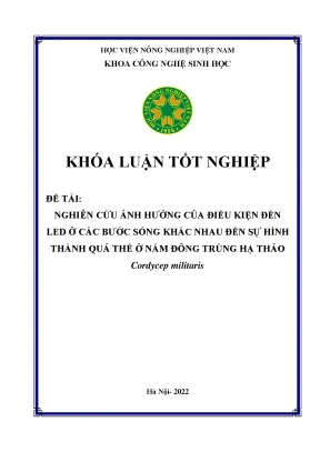 Nghiên cứu ảnh hưởng của điều kiện đèn led ở các bước sóng khác nhau đến sự hình thành quả thể ở nấm đông trùng hạ thảo cordycep militaris