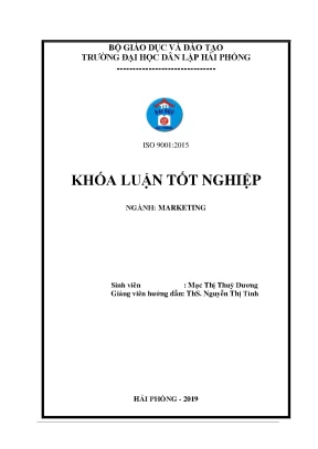 Thực trạng và giải pháp marketing cho công ty cổ phần thương mại và dịch vụ vận tải việt pháp