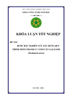 Bước đầu nghiên cứu xây dựng quy trình nhân nhanh in vitro cây gai xanh boehmeria nivea