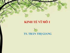 Chương 1 tổng quan về kinh tế học vĩ mô