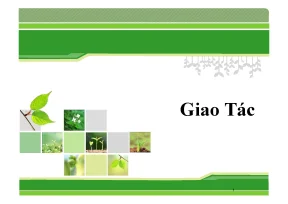 Chuong7 transaction