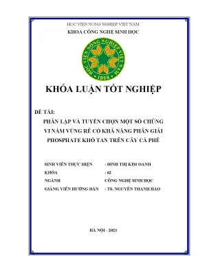 Phân lập và tuyển chọn một số chủng vi nấm vùng rễ có khả năng phân giải phosphate khó tan trên cây cà phê