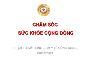 Dung320 486