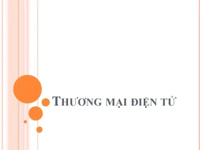 Giáo trình thương mại điện tử thuyết trình tổng quan thương mại điện tử