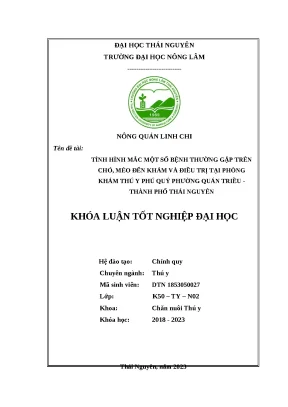 Luận văn tình hình mắc một số bệnh thường gặp trên chó mèo đến khám và điều trị tại phòng khám thú y phú quý phường quán triều thành phố thái nguyên