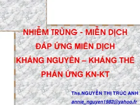 Đáp ứng miễn dịch kháng nguyên kháng thể phản ứng