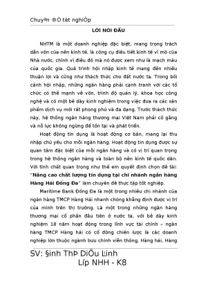 Nâng cao chất lượng tín dụng tại chi nhánh ngân hàng hàng hải đống đa