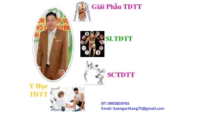 Phong tranh chấn thương khi tập vocotruyen