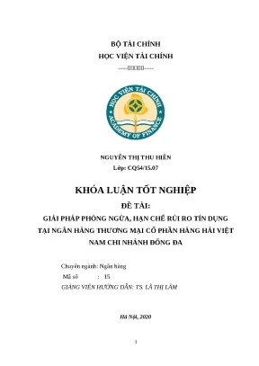 Khóa luận tốt nghiệp đề tài giải pháp phòng ngừa hạn chế rủi ro tín dụng tại ngân hàng thương mại cổ phần hàng hải việt nam chi nhánh đống đa