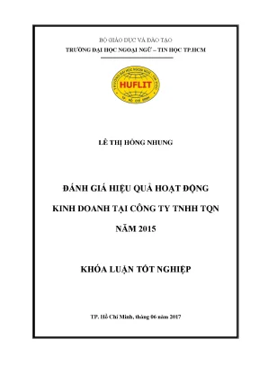 Đánh giá hiệu quả hoạt động kinh doanh tại công ty tnhh tqn năm 2015