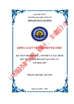 Kế toán doanh thu chi phí và xác định kết quả kinh doanh tại công ty cổ phần 207