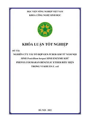 Nghiên cứu tái tổ hợp gen pcber sdr từ nấm nội sinh penicillium herquei sinh enzyme khử phenylcoumaran benzylic ther biểu hiện trong vi khuẩn e codi