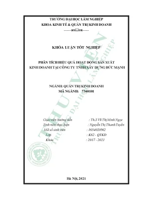 Phân tích hiệu quả hoạt động sản xuất kinh doanh tại công ty tnhh xây dựng đức mạnh