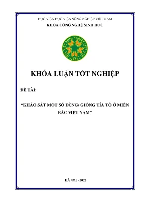 Khảo sát một số dòng giống tía tô ở miền bắc việt nam