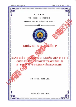 Đánh giá sự hài lòng của nhân viên đối với công việc tại công ty trách nhiệm hữu hạn một thành viên hanex huế