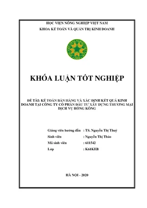 Kế toán bán hàng và xác định kết quả kinh doanh tại công ty cổ phần đầu tư sản xuất thương mại và dịch vụ hồng kông