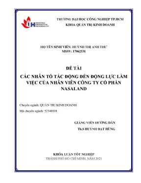 Các nhân tố tác động đến động lực làm việc của nhân viên công ty cổ phần nasaland