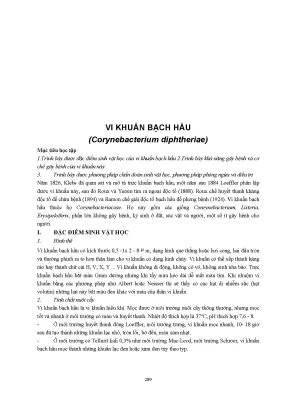 Bg vi sinh phan 2 4705