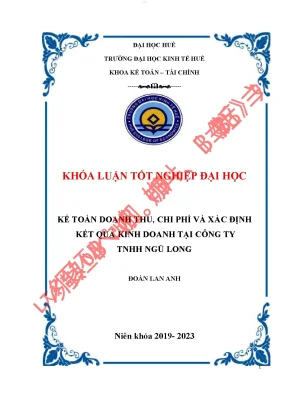 Kế toán doanh thu chi phí và xác định kết quả kinh doanh tại công ty tnhh ngũ long