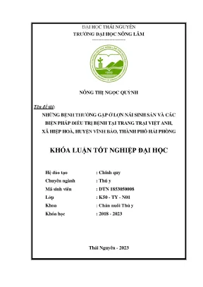 Những bệnh thường gặp ở lợn nái sinh sản và các biện pháp điều trị bệnh tại trang trại việt anh xã hiệp hòa huyện vĩnh bảo thành phố hải phòng