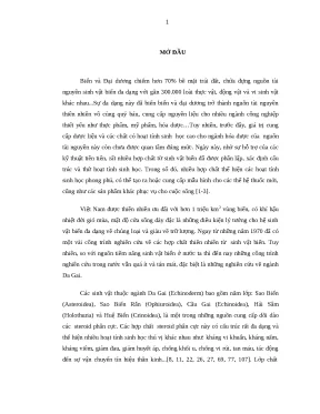 0918 nghiên cứu hóa học và hoạt tính sinh học các steroid phân cực từ loài sao biển archaster typicus việt nam luận văn tốt nghiệp