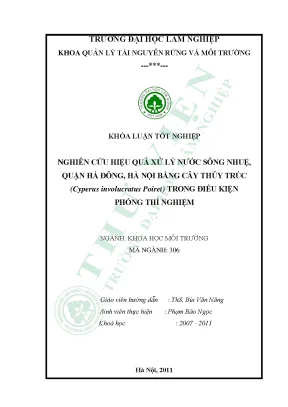 Nghiên cứu hiệu quả xử lý nước sông nhuệ quận hà đông hà nội bằng cây thủy trúc cyperus involucratus poiret trong điều kiện phòng thí nghiệm