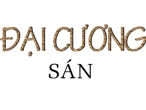 Đại cương sán