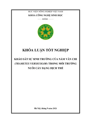 Khảo sát sự sinh trưởng của nấm vân chi trametes versicolor trong môi trường nuôi cấy dạng dịch thể